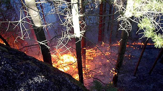 Požár lesa v Boru u Skutče.