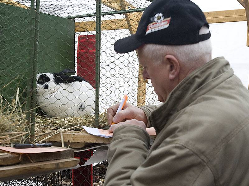 Zvířata v Rabštejnské Lhotě přilákala děti i dospělé.