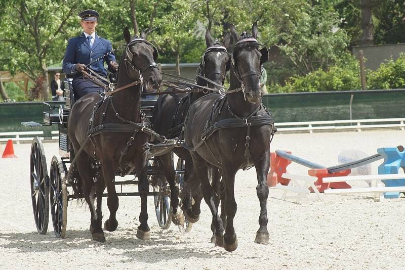 Koně, folklor, regionální výrobky. Akce přilákala do areálu jezdecké haly a kolbiště Na Rembáni davy lidí.