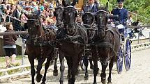Koně, folklor, regionální výrobky. Akce přilákala do areálu jezdecké haly a kolbiště Na Rembáni davy lidí.