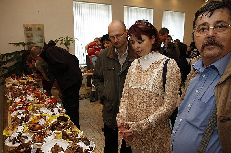 II. ročník houbařské výstavy v Hlinsku navštívilo na tisíc návštěvníků a vystavovalo se na 400 exponátů. 