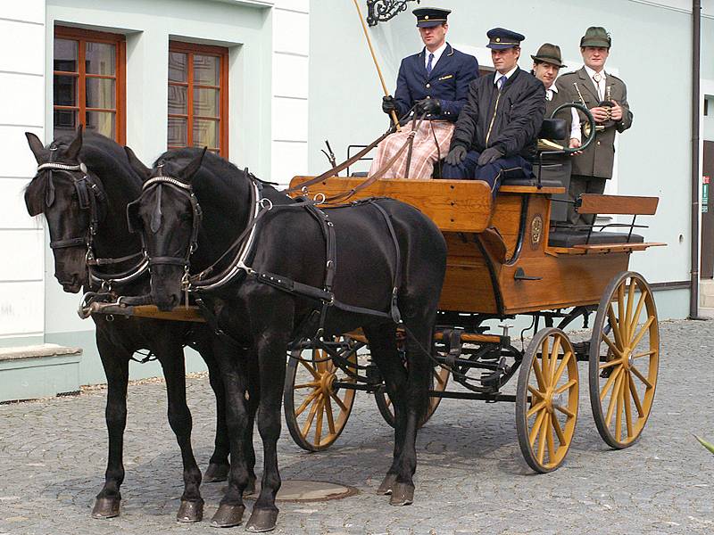 V Nasavrkách byly k vidění letošní trofeje myslivců z Chrudimska.