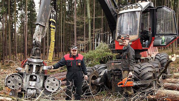 Krádeží dřeva přibývá. Lesníci kvůli zlodějům instalují do klád třeba GPS -  Plzeňský deník