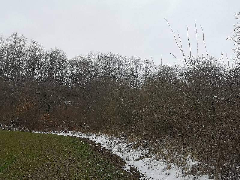 Trojmezí podhořanské - pohled z okresu Kutná Hora, v pozadí stožár.