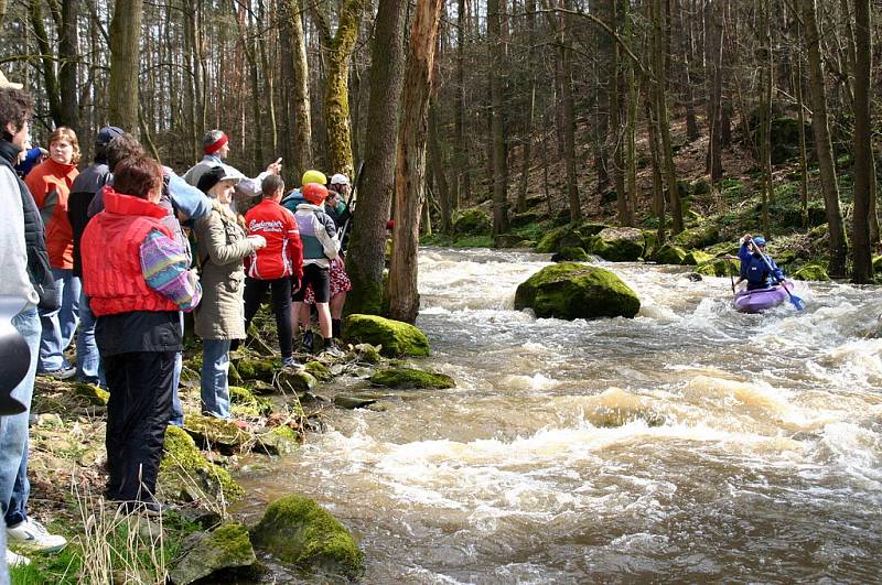 V úseku u Mladotic začíná teprve pořádně pracovat adrenalin. Mladotický vír je toitž nejnebezpečnější částí sjezdu.