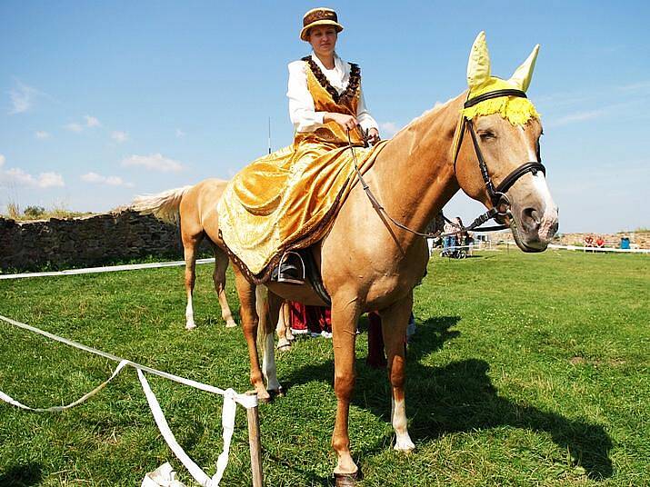 Na nádvoří   hradu Lichnice mohli při Jezdeckém dni návštěvníci vidět koně Kinských 