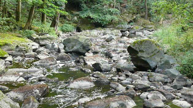 V korytu řeky Doubravy je více kamení než vody.
