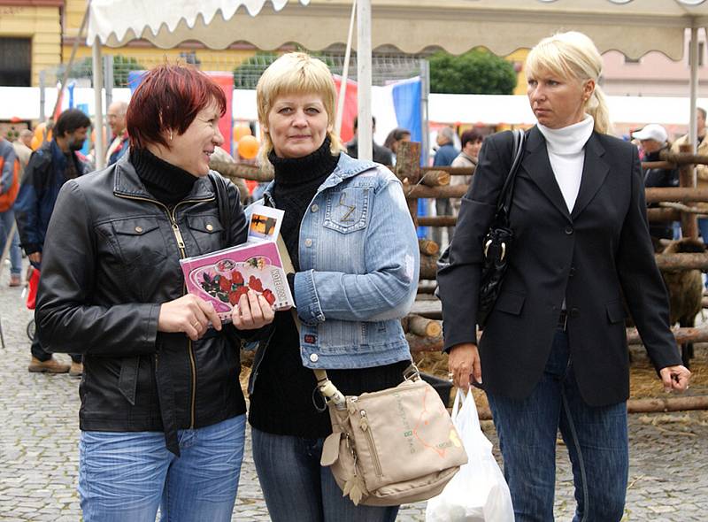 HOLANDSKÝ JARMARK na chrudimském náměstí v sobotu pokazilo deštivé počasí. Holandští přátelé z partnerského města Ede přivezli kromě tradičních sýrů také holandská jídla, pivo, ryby, sladkosti atd. Představili jejich kulturu či práci s dětmi. 