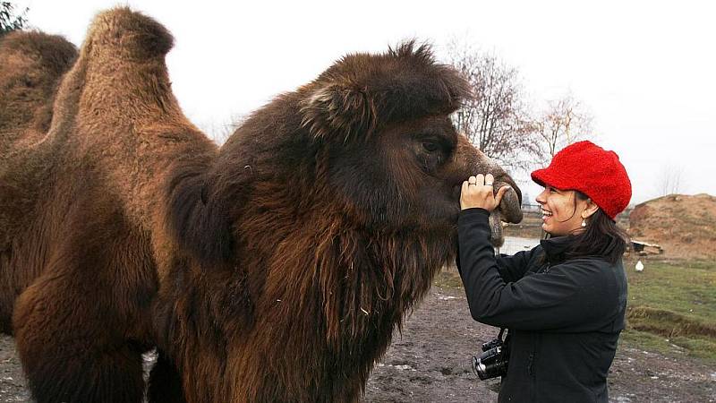 Zdravici k úspěšnému roku 2010 čtenářům Deníku posílají obyvatelé soukromé zoo Kamila Karely v Kostelci u Heřmanova Městce.