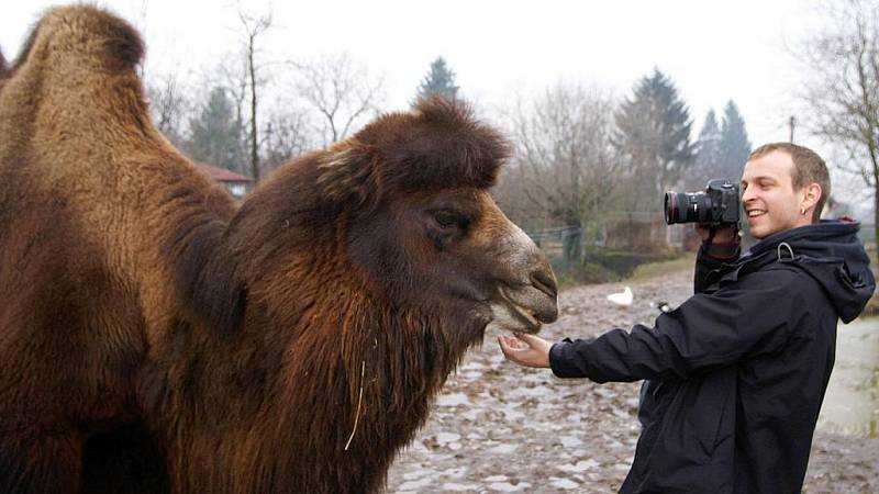 Zdravici k úspěšnému roku 2010 čtenářům Deníku posílají obyvatelé soukromé zoo Kamila Karely v Kostelci u Heřmanova Městce.