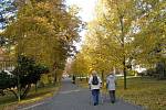 Park a arboretum u Hamzovy léčebny pro děti a dospělé v Luži-Košumberku.