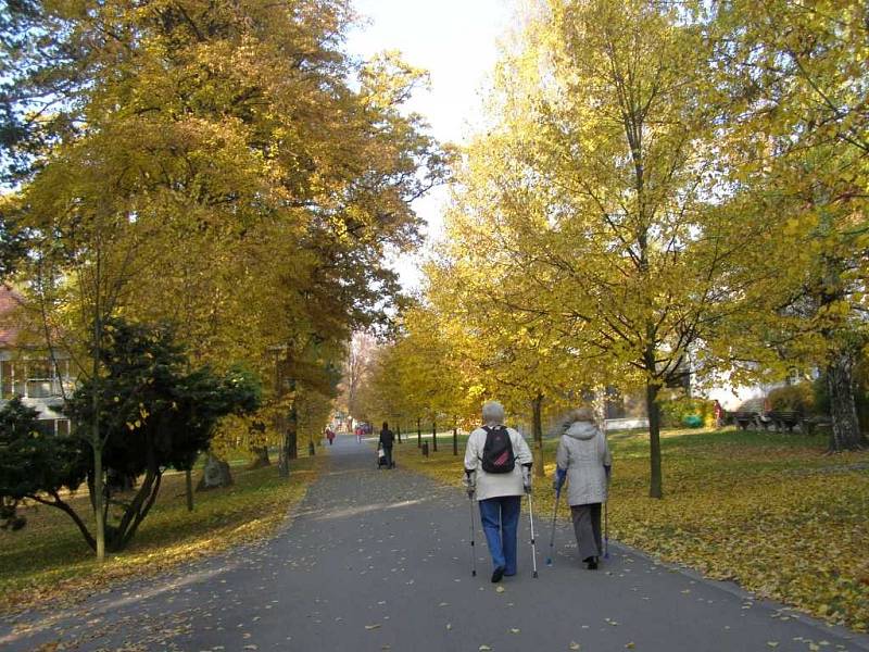 Park a arboretum u Hamzovy léčebny pro děti a dospělé v Luži-Košumberku.