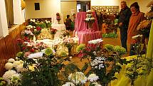 Jednadvacátý ročník výstavy chryzantém v Hlinsku představil v prostorách Orlovny veřejnosti květiny ve vázách a květináčích, celkem pořadatelé dali dohromady dvě stovky exponátů.