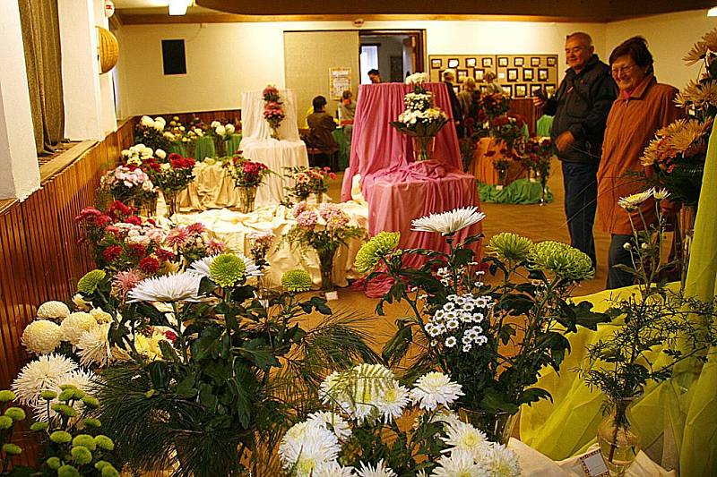 Jednadvacátý ročník výstavy chryzantém v Hlinsku představil v prostorách Orlovny veřejnosti květiny ve vázách a květináčích, celkem pořadatelé dali dohromady dvě stovky exponátů.