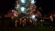 Vánoční strom v Ronově nad Doubravou
