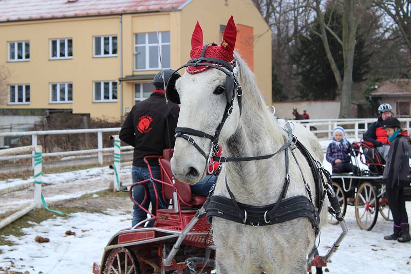 Zimní Jezdecký pohár ČJF ve Slatiňanech