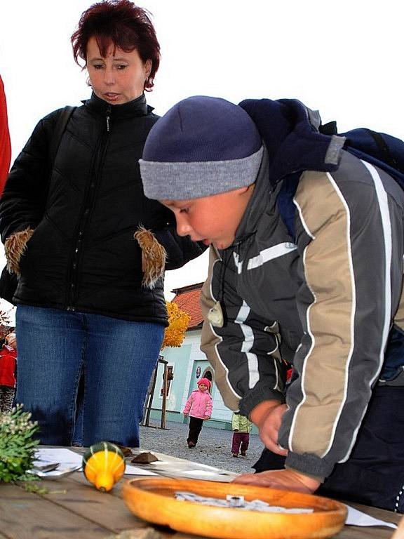 Nasavrčtí Keltové se oslavovali keltský nový rok, který připadá podle tradice na 1. listopad. Nasavrcký zámek a jeho nádvoří patřil v sobotu velkým oslavám Samhainu