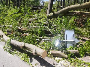 Strom spadl i na auto, police uzavřela silnici.