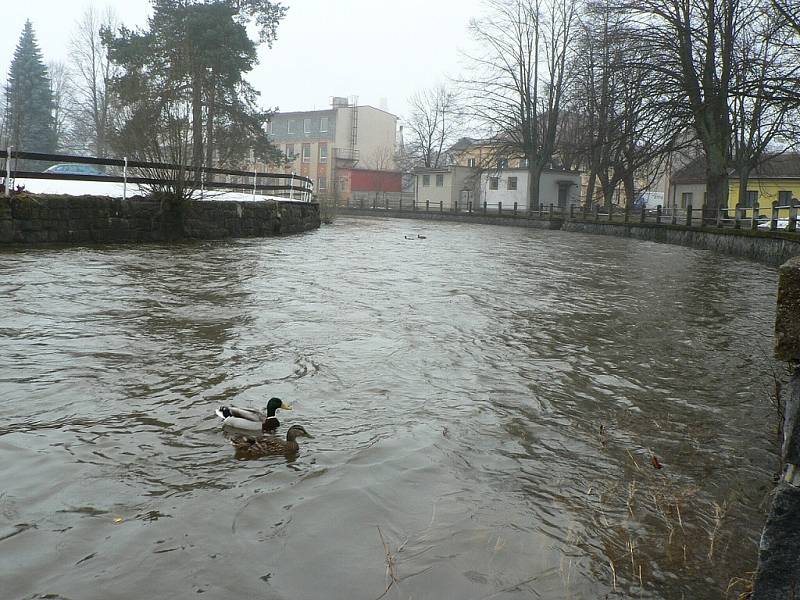 Zvýšenou hladinu řek zaznamenali i na Hlinecku. 