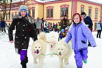 V Heřmanově Městci se sešli musheři se svými čtyřnohými svěřenci na tradičním Dnu severských psů. 