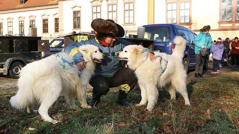 Zámeckým parkem v Heřmanově Městci se proháněla spřežení severských psů.