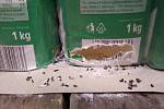 Myši v chrudimském Kauflandu
