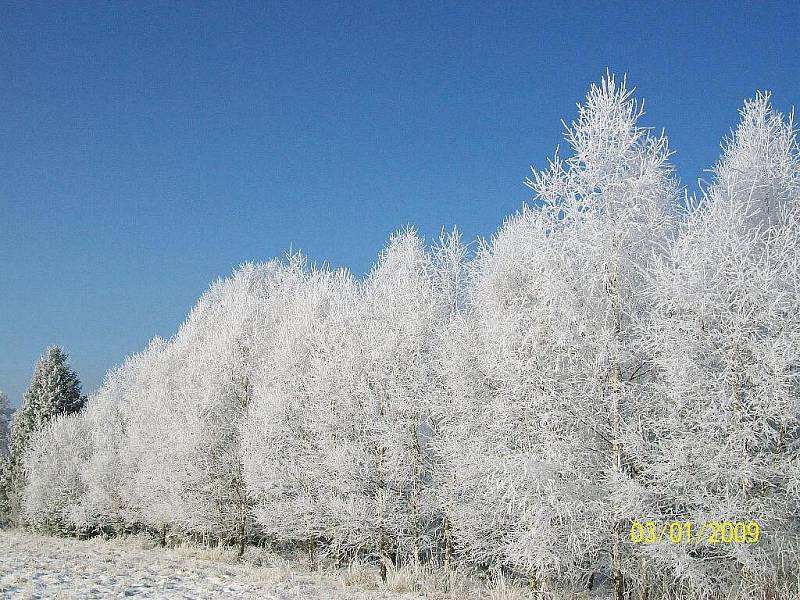 Zima ve Všeradově a okolí.