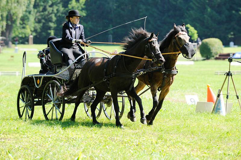 Závody koňských spřežení v heřmanoměstecké Bažantnici nesly název Memoriál Jiřího Škodného