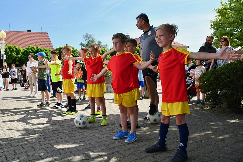 Setkání s týmem běžců z celého světa bude připomínat deska u kavkazské jedle, Stromu Míru.