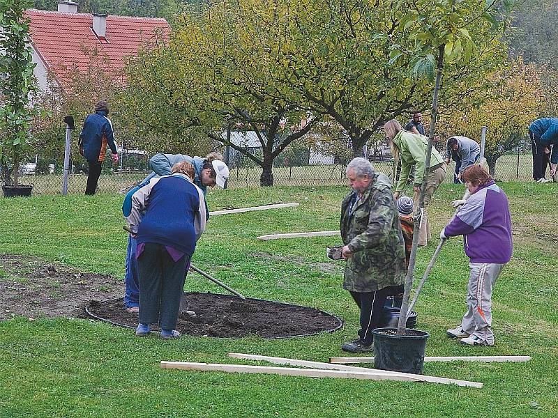 V Jenišovicích zasázeli neobvyklé druhy stromů.