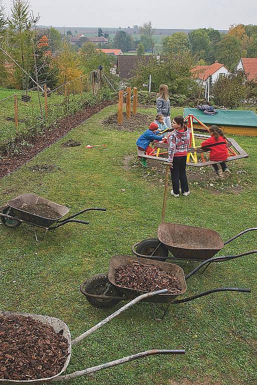 V Jenišovicích zasázeli neobvyklé druhy stromů.