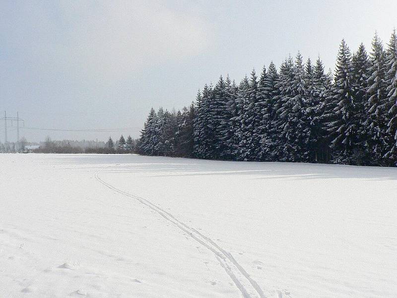 Lednová zimní pohodičkách v okolí František na Hlinecku.