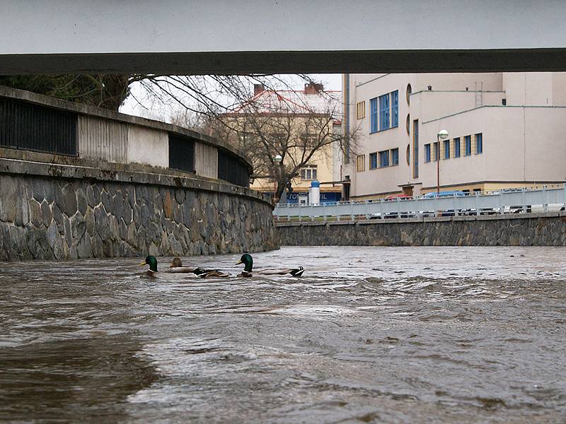 Rozbouřená Chrudimka ve městě Chrudim.