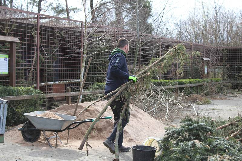 Příprava na novou sezónu v Záchranné stanici Pasíčka