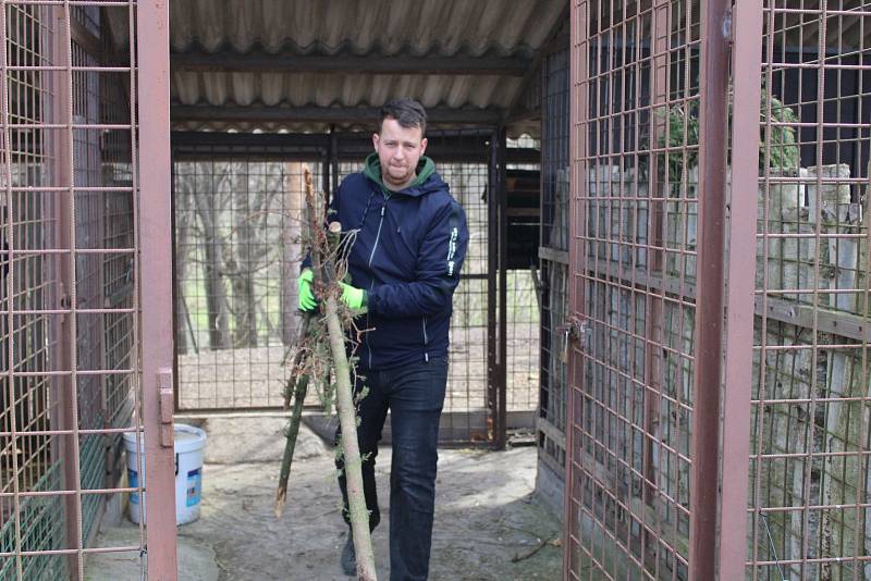 Příprava na novou sezónu v Záchranné stanici Pasíčka