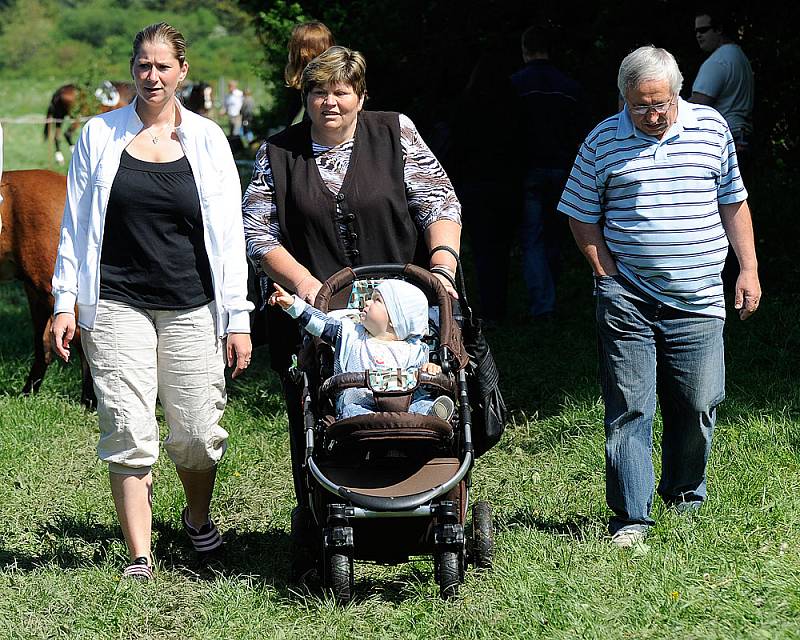 Na Jezdeckém dni v Kozojedech nechyběla přehlídka plemen koní, barokní jízda v kostýmech na dobovou hudbu, parkurové skákání a vozatajské parkury.