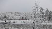 Zima před zimním stadionem v Chrudimi