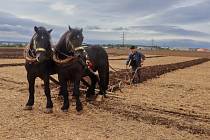 K vidění byla i historická zemědělská technika a koně.