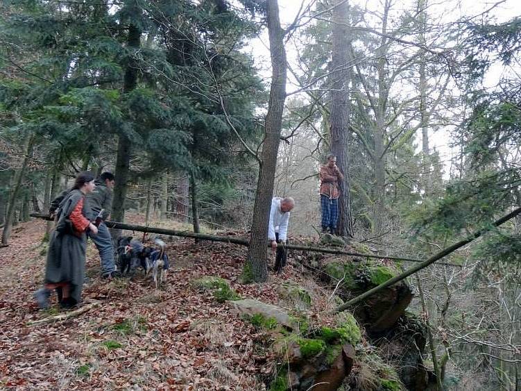 Nasavrčtí Kelti na výpravě za jmelím. Snítky dostane každý člen kmene. 