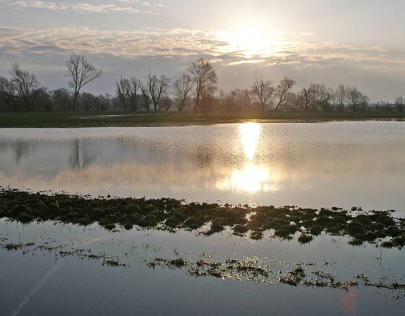 Neděle 8. března: Novohradka se vylila z břehů.