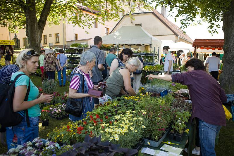 Nová vlajka Trhové Kamenice s dvouocasým lvem se dočkala požehnání.