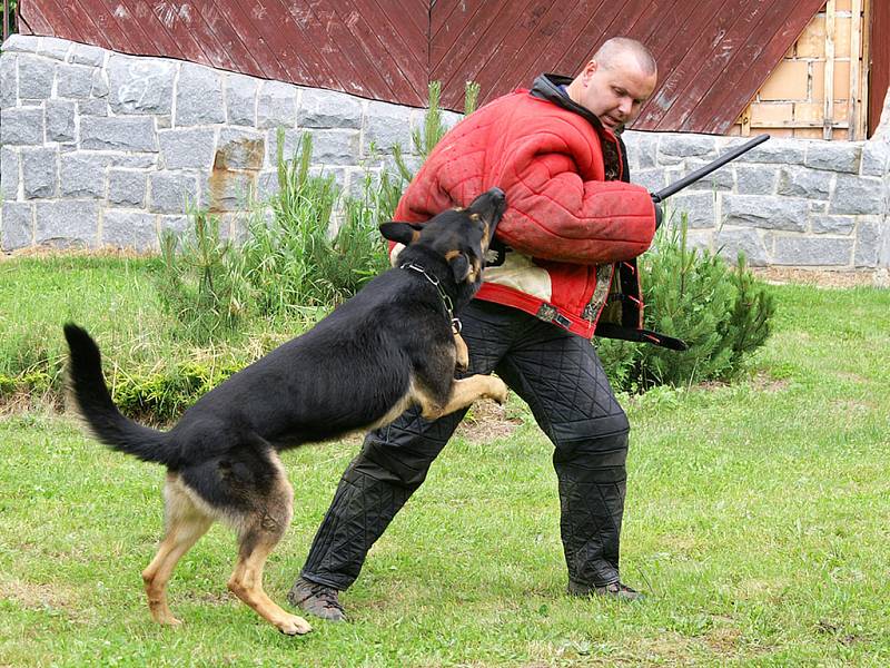 Na Bezpečných prázdninách v Hlinsku se představili všechny složky integrovaného záchranného systému