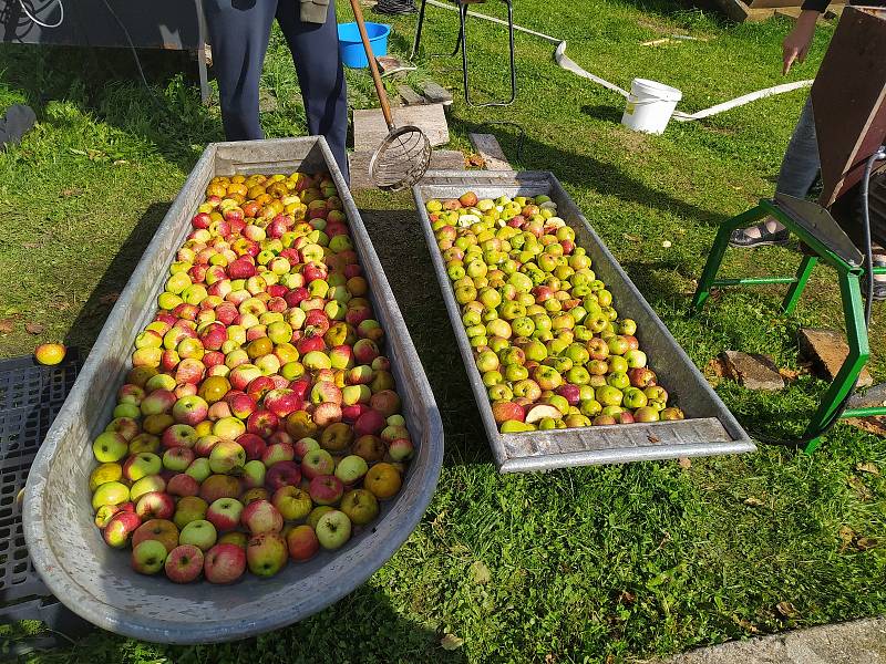 Zpracování jablek je těžká a "špinavá" práce, ale společně jde všechno snadněji.