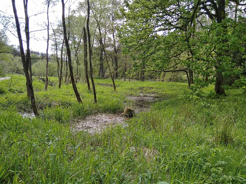 Holonkův Mlýn aneb kam na cyklovýlet s menšími dětmi v okolí Velkého Meziříčí.