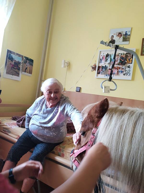 Animoterapii už znají klienti Domova pro seniory U Bažantnice v Heřmanově Městci. Je velmi oblíbená