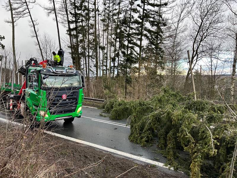 Hasiči odstraňovali strom spadlý u hlinecké sjezdovky.