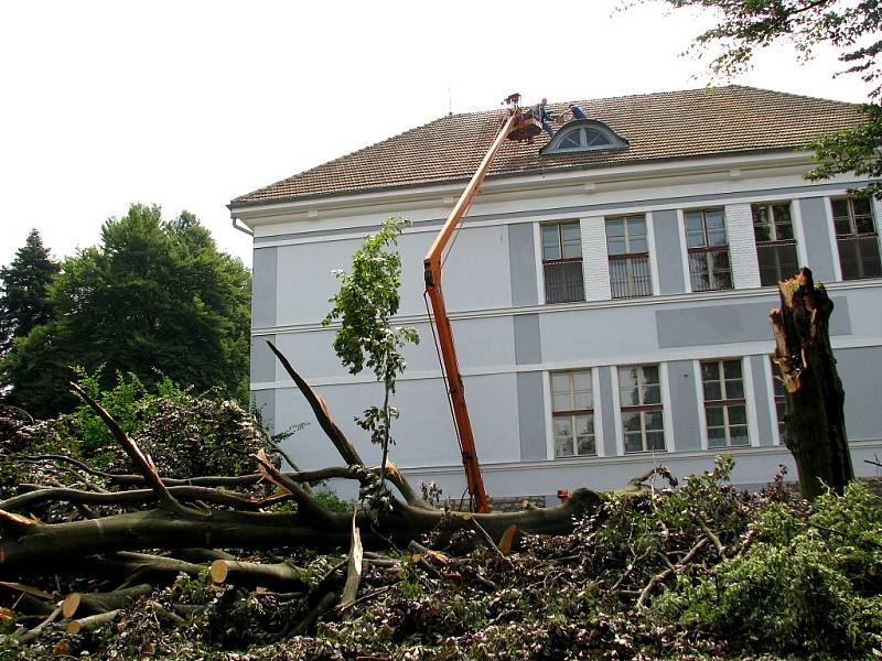 Vichřice zpustošila také arboretum u Hamzovy léčebny v Luži.