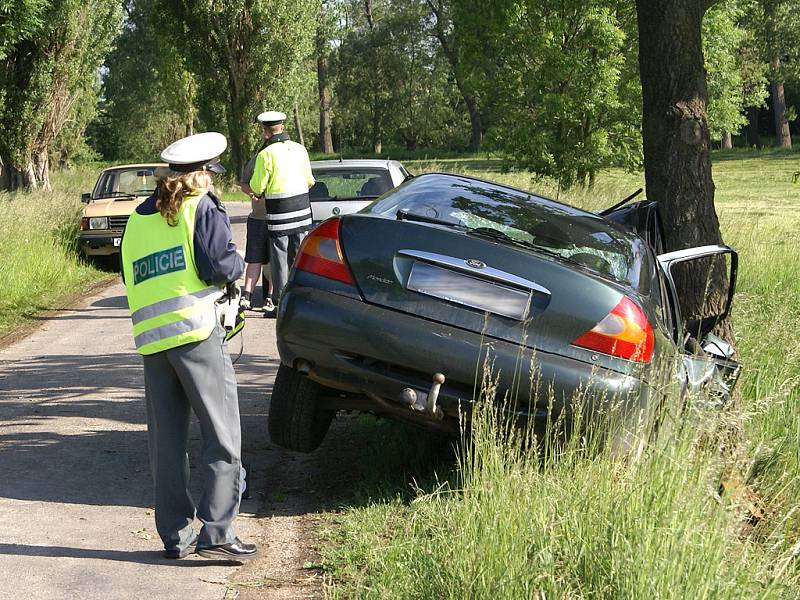 Řidička mezi obcemi Brčekoly a Březovice narazila do stromu.