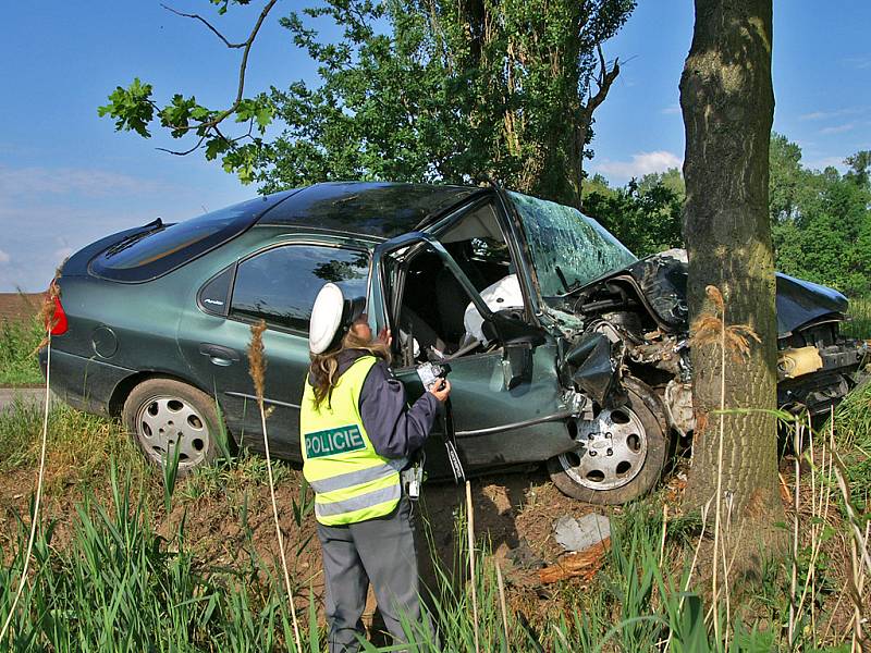 Řidička mezi obcemi Brčekoly a Březovice narazila do stromu.