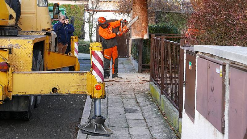 Chrudimský vánoční strom přivezli ze Slatiňan.